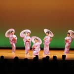美しい着物での演技